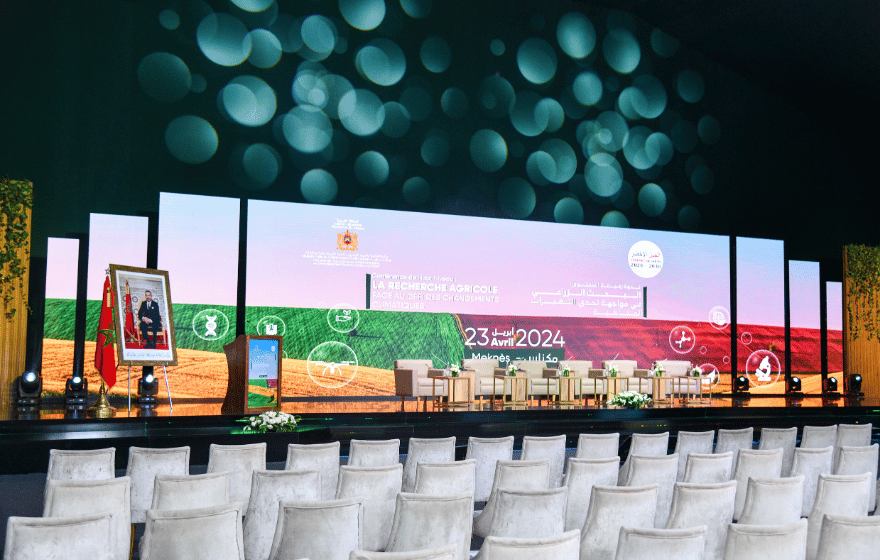 VOYAGES D’AFFAIRES & INCENTIVE